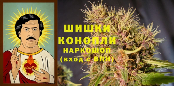 apvp Арсеньев
