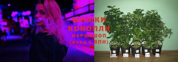 apvp Арсеньев