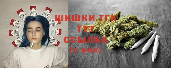 PSILOCYBIN Аркадак