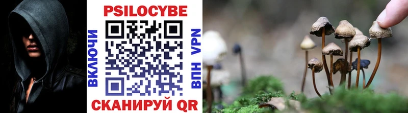 Купить закладки  Сосновоборск  Галлюциногенные грибы прущие грибы 